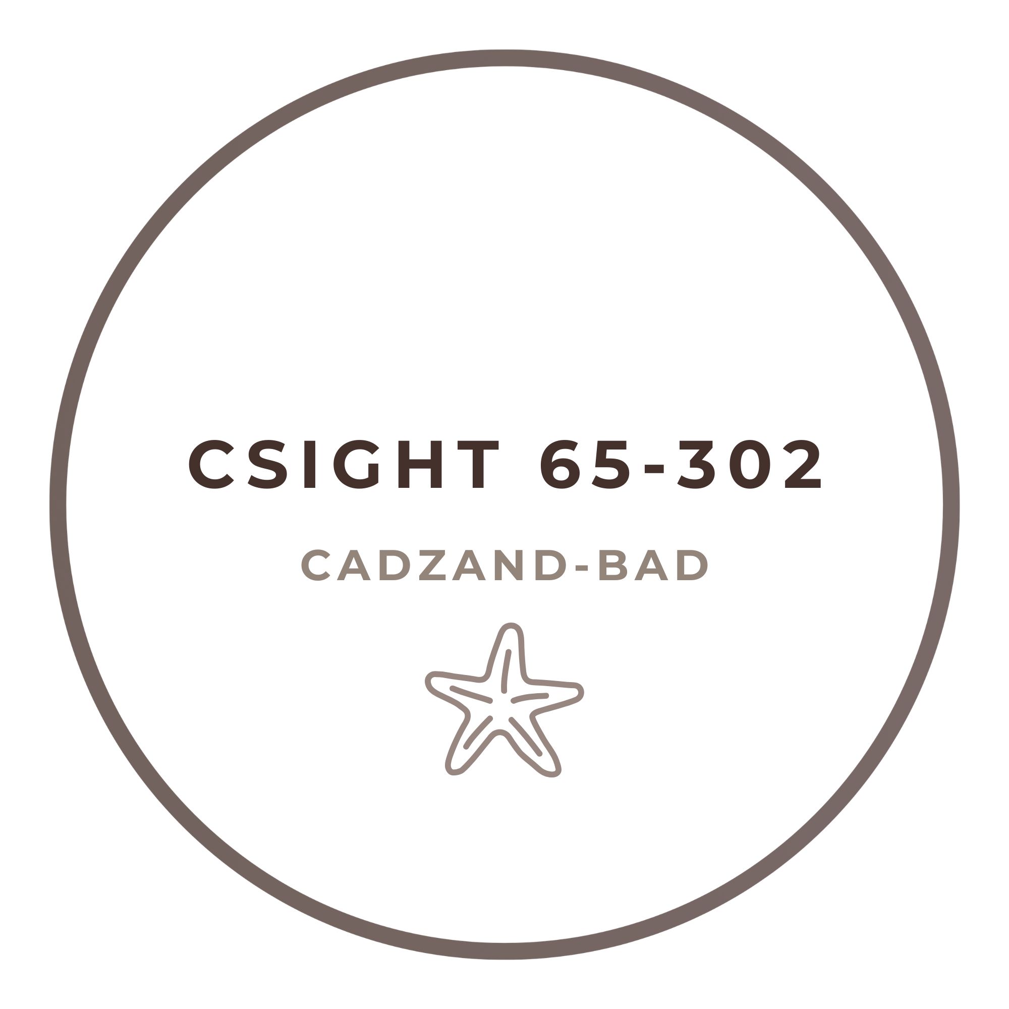 csight 65 302
