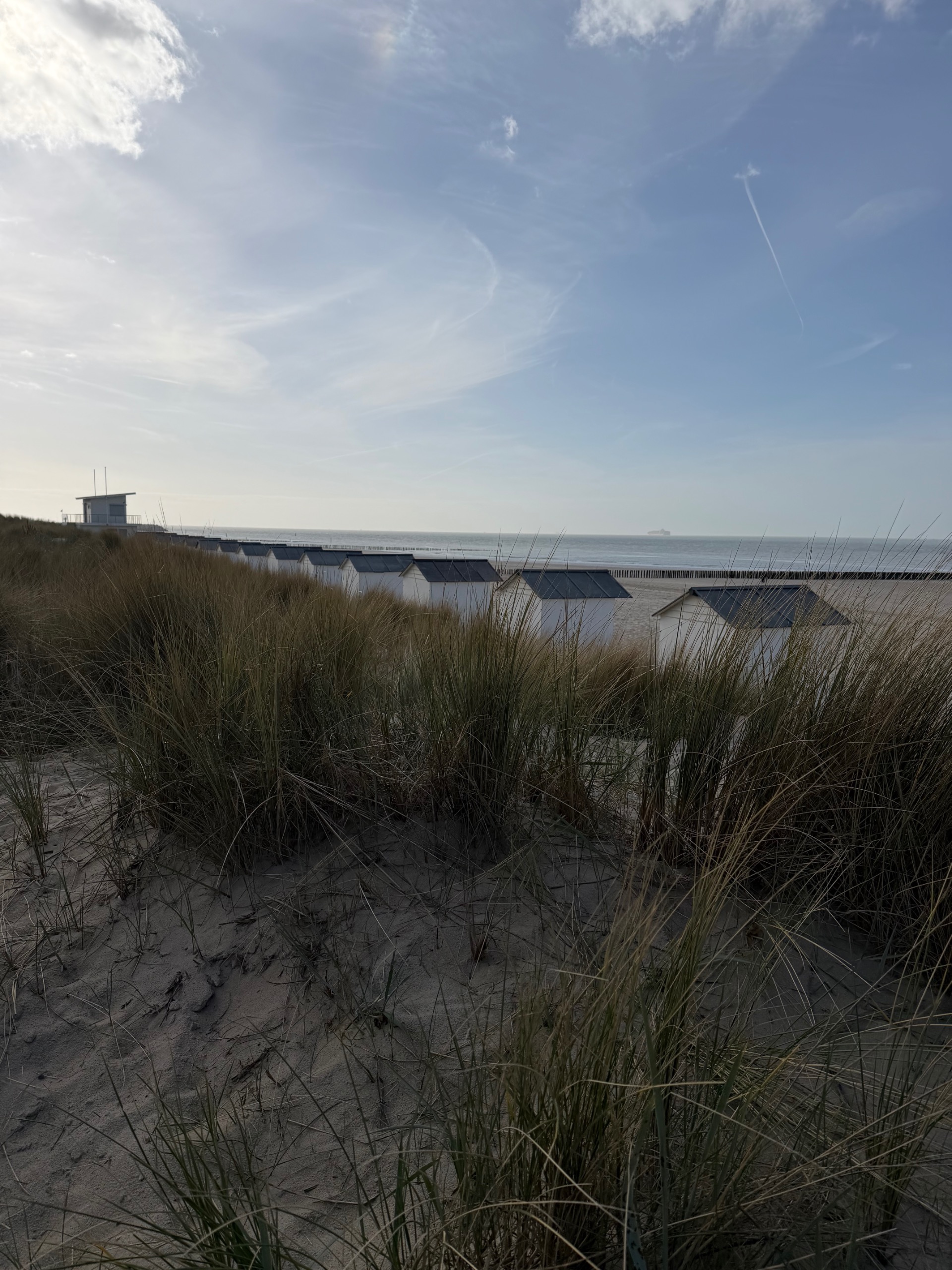 csight 65 302 cadzand bad — strandhuisjes en duinen met helmgras op het strand, vakantieappartement zeeland