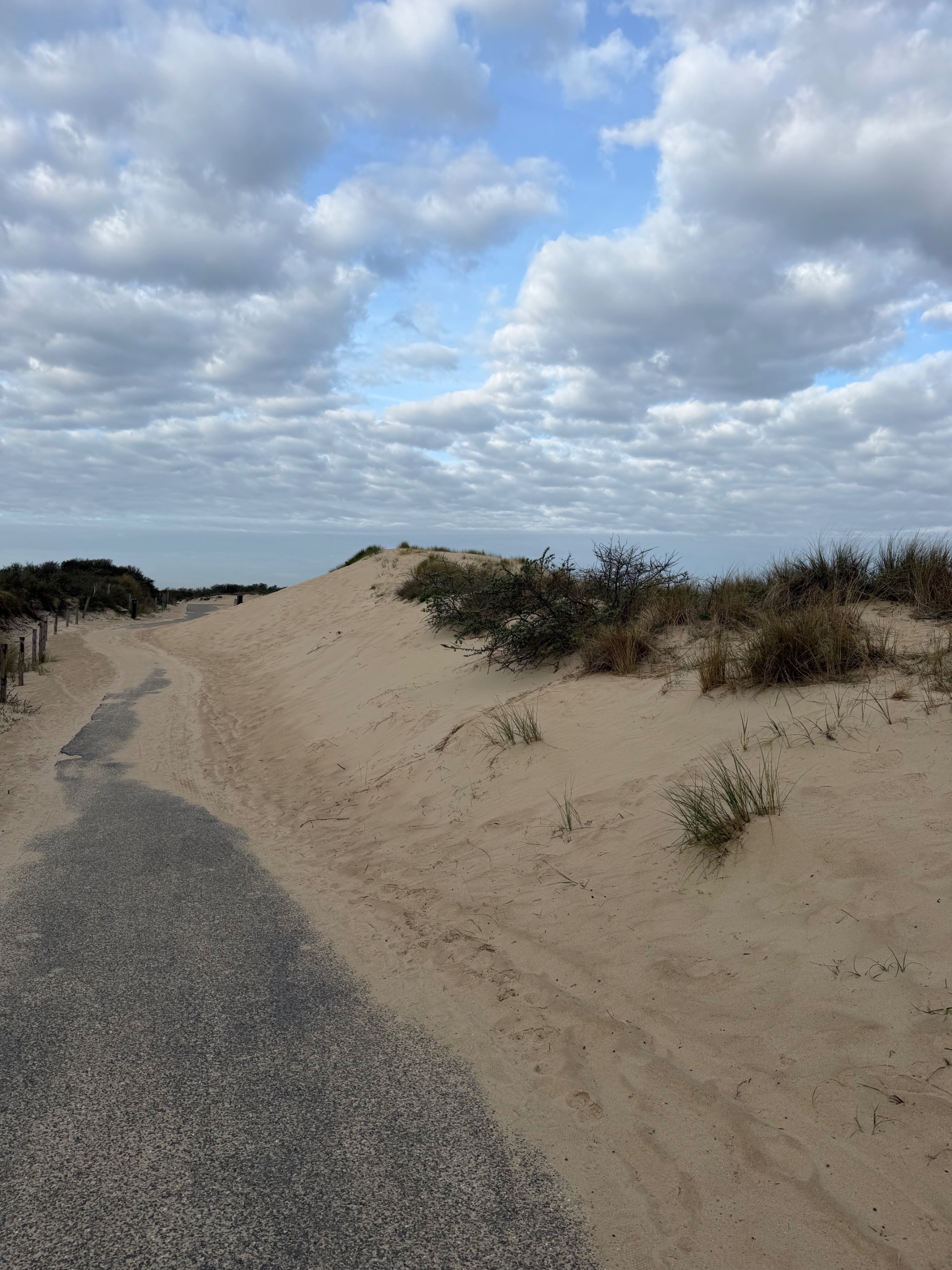 csight 65 302 cadzand bad — wandelpad door de duinen richting noordzee, 't zwin, natuurgebied zeeland