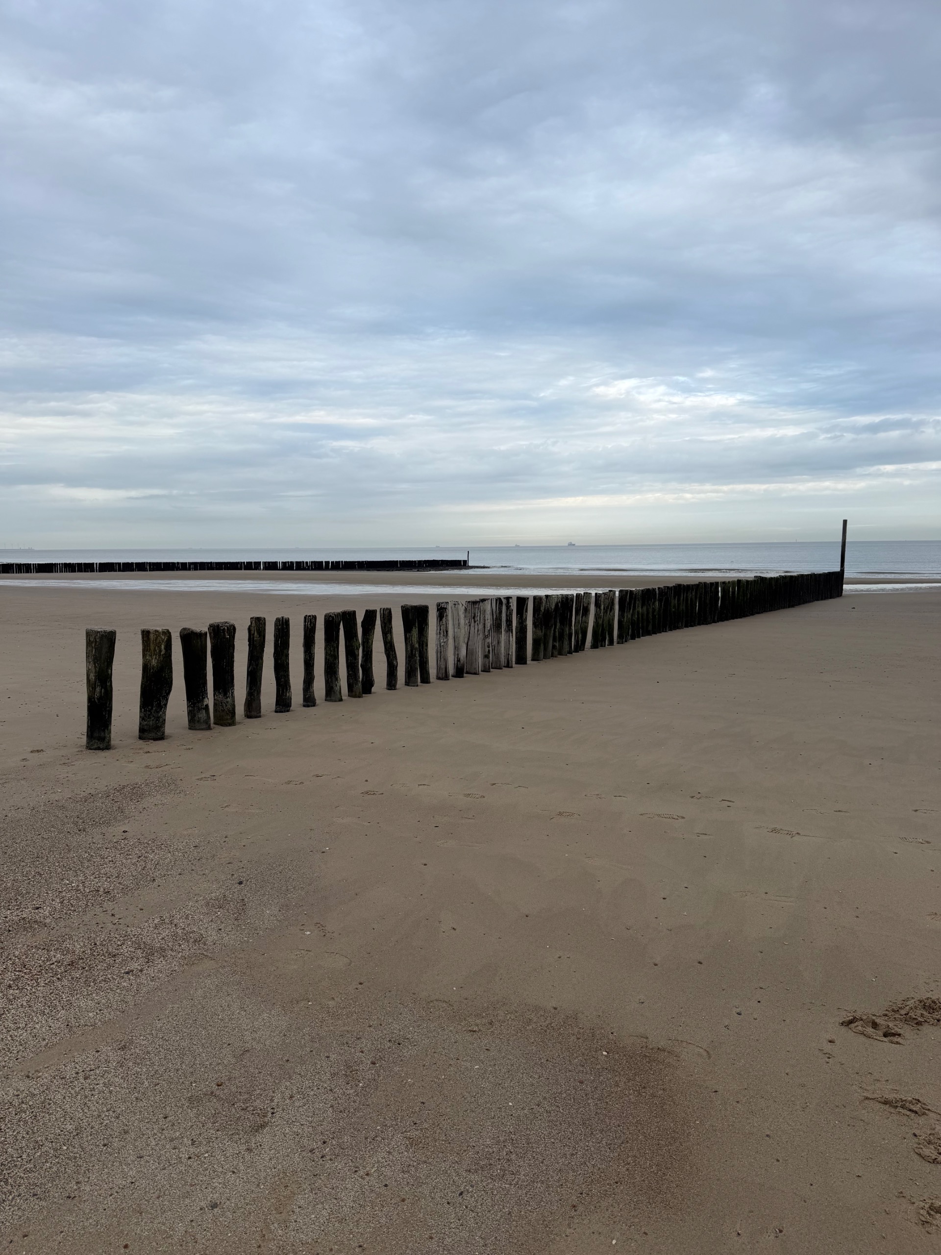 csight 65 302 het wad bij laagwater in het natuurgebied bij cadzand bad