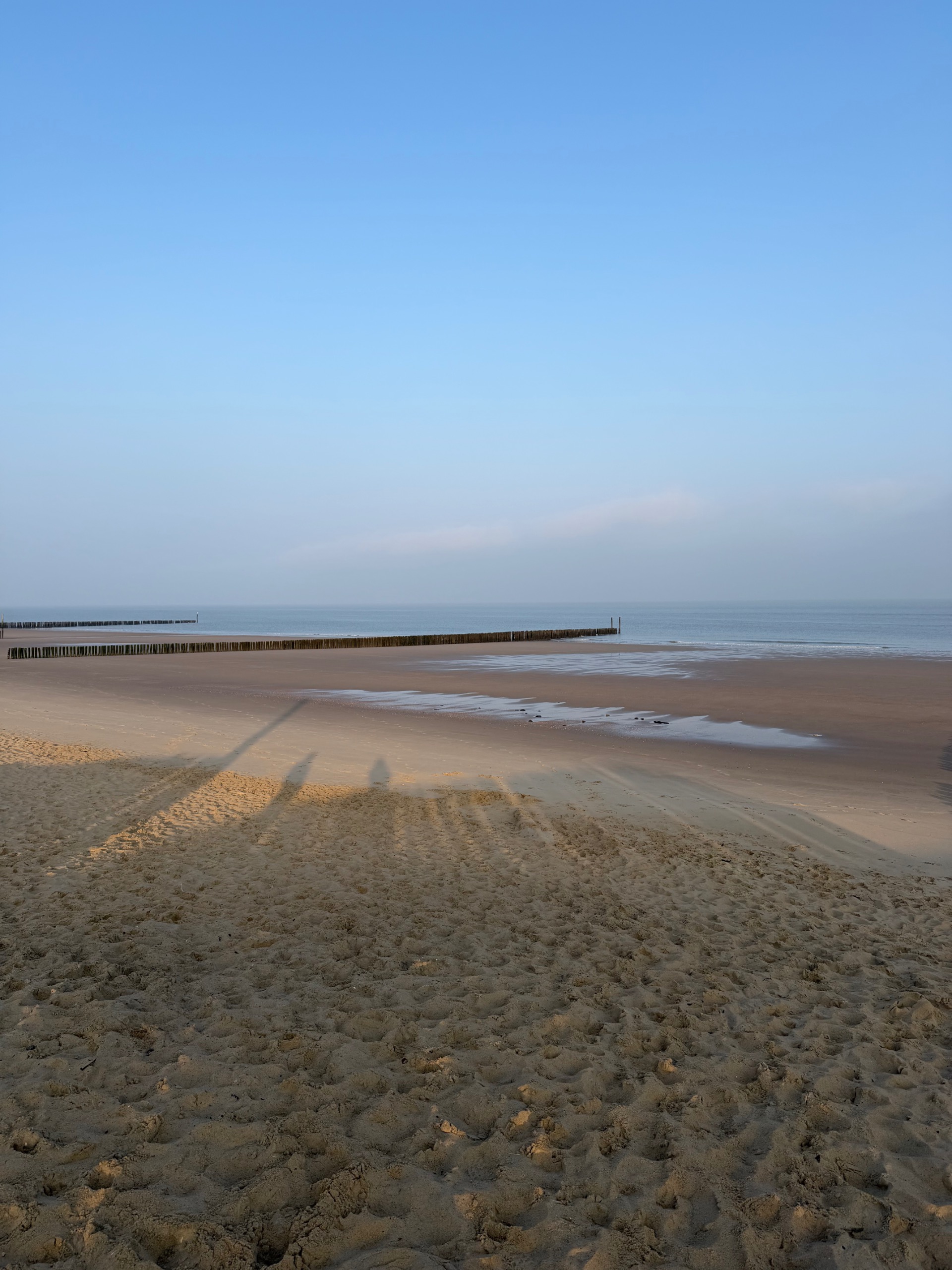 csight 65 302 uitgestrekt strand van cadzand bad bij zonsopgang met houten golfbrekers