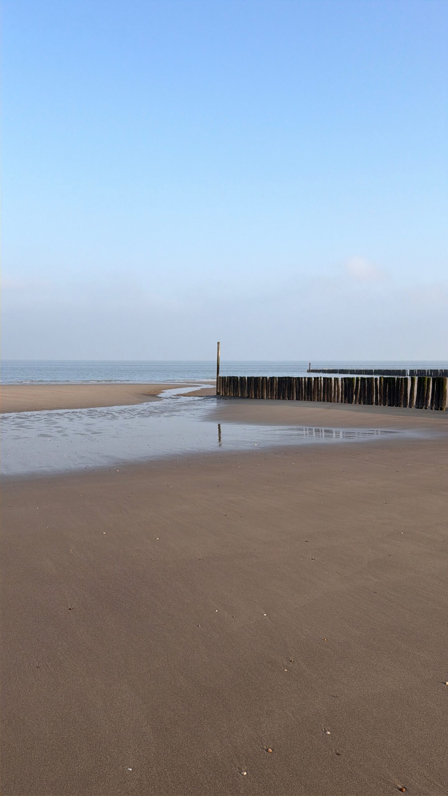 csight 65 302 verlaten strand van cadzand bad met golfbrekers en spiegeling in het natte zand