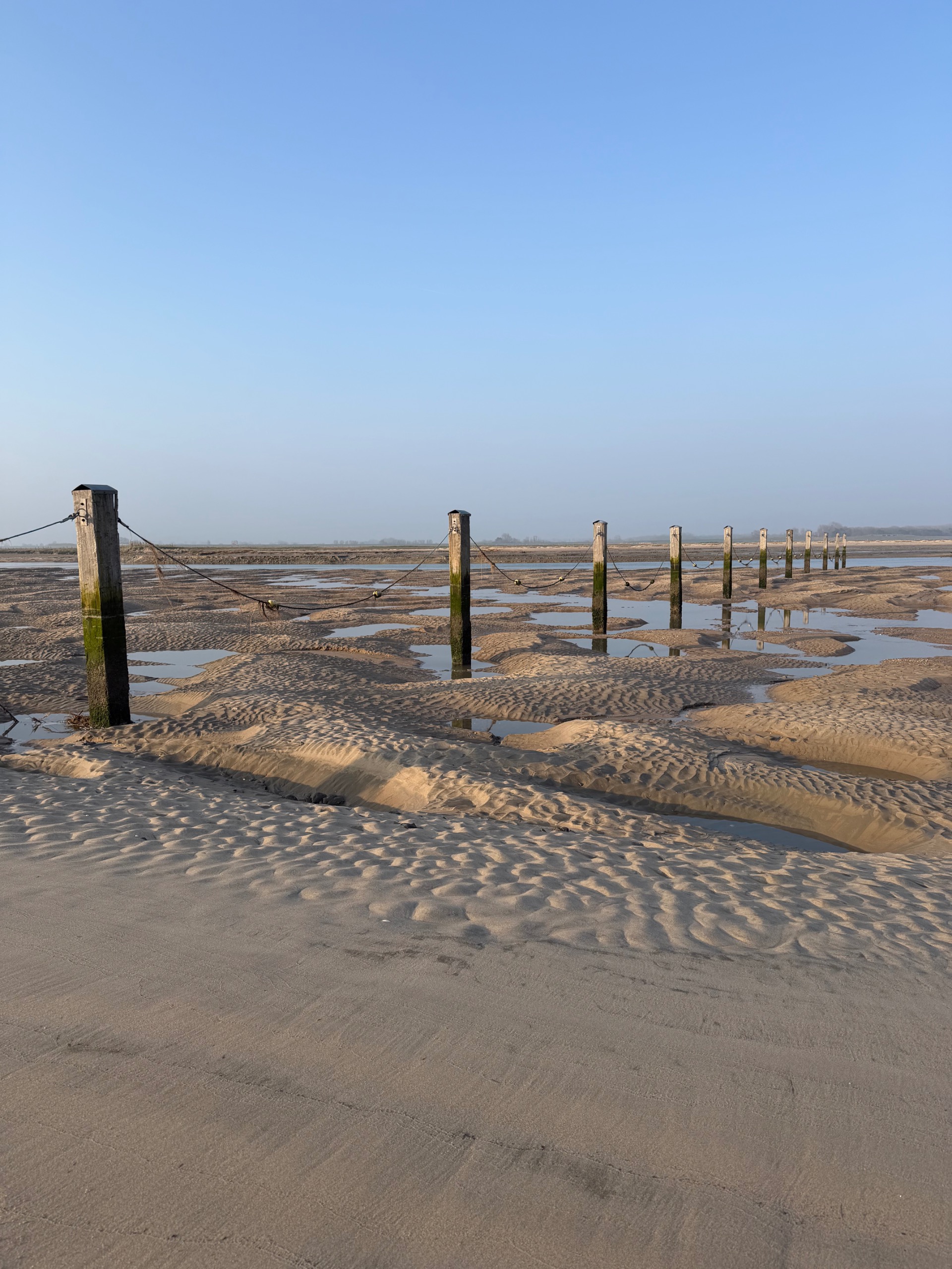 csight 65 302 — het unieke natuurgebied het zwin op loopafstand en fietsafstand