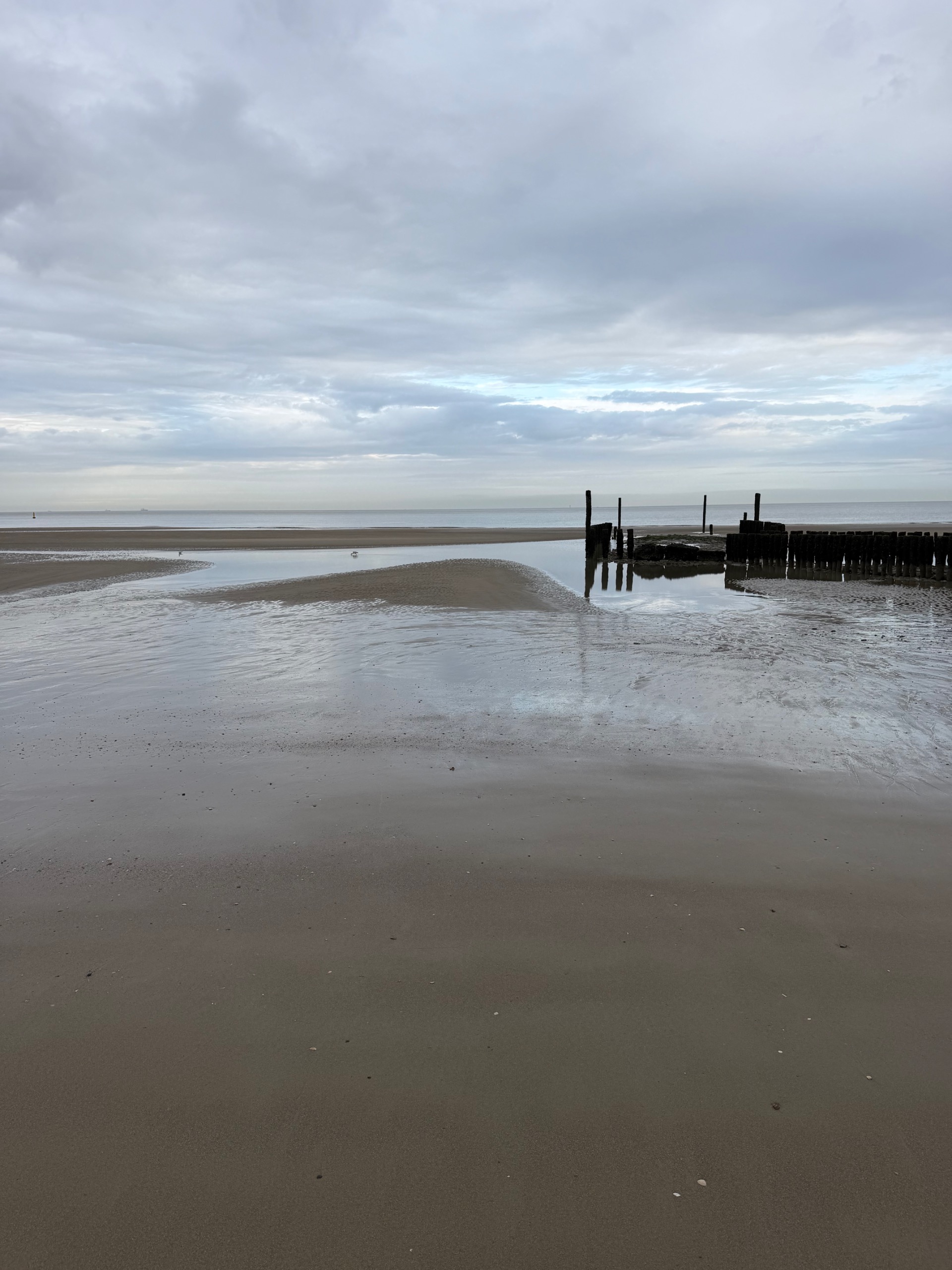 csight 65 302 — rust en ruimte op het brede strand van cadzand bad